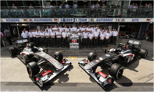 komanda-sauber-ishchet-alternativnye-varianty