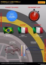  itogovaya statistika ot kompanii pirelli