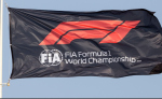 Превью новости: В FIA призвали не оскорблять судей в интернете